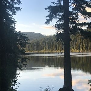 Meet your Posher, Natasha